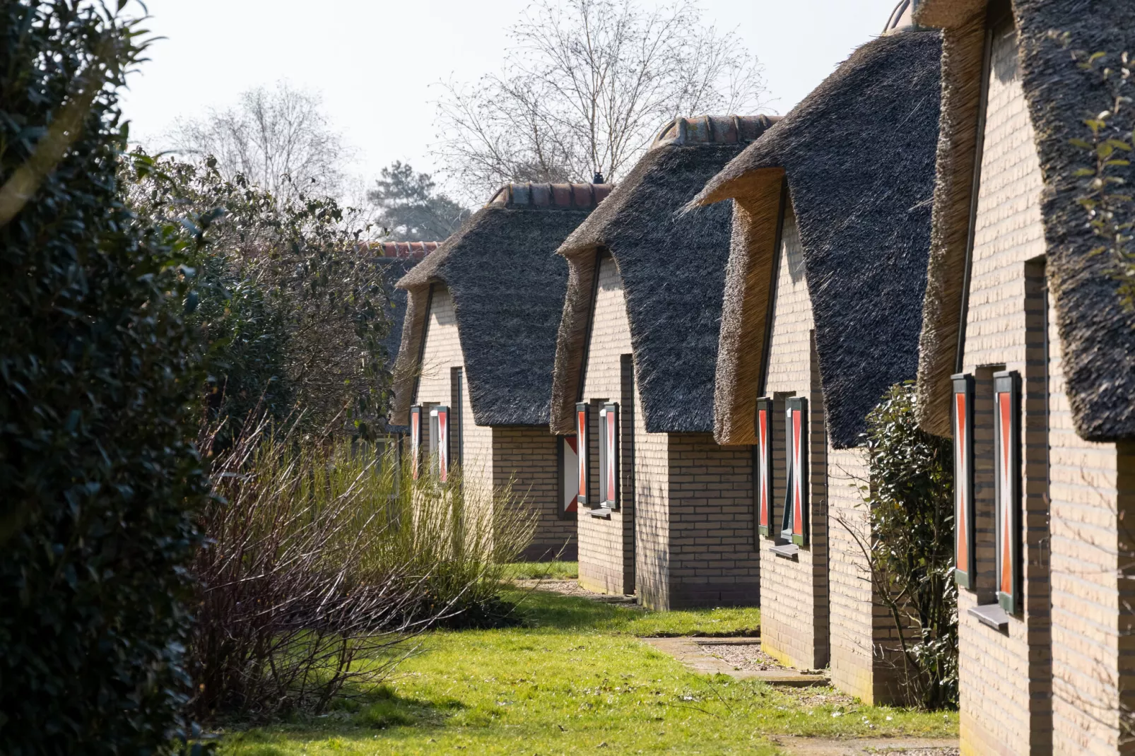 De Veluwse Hoevegaerde 4-Buitenkant zomer