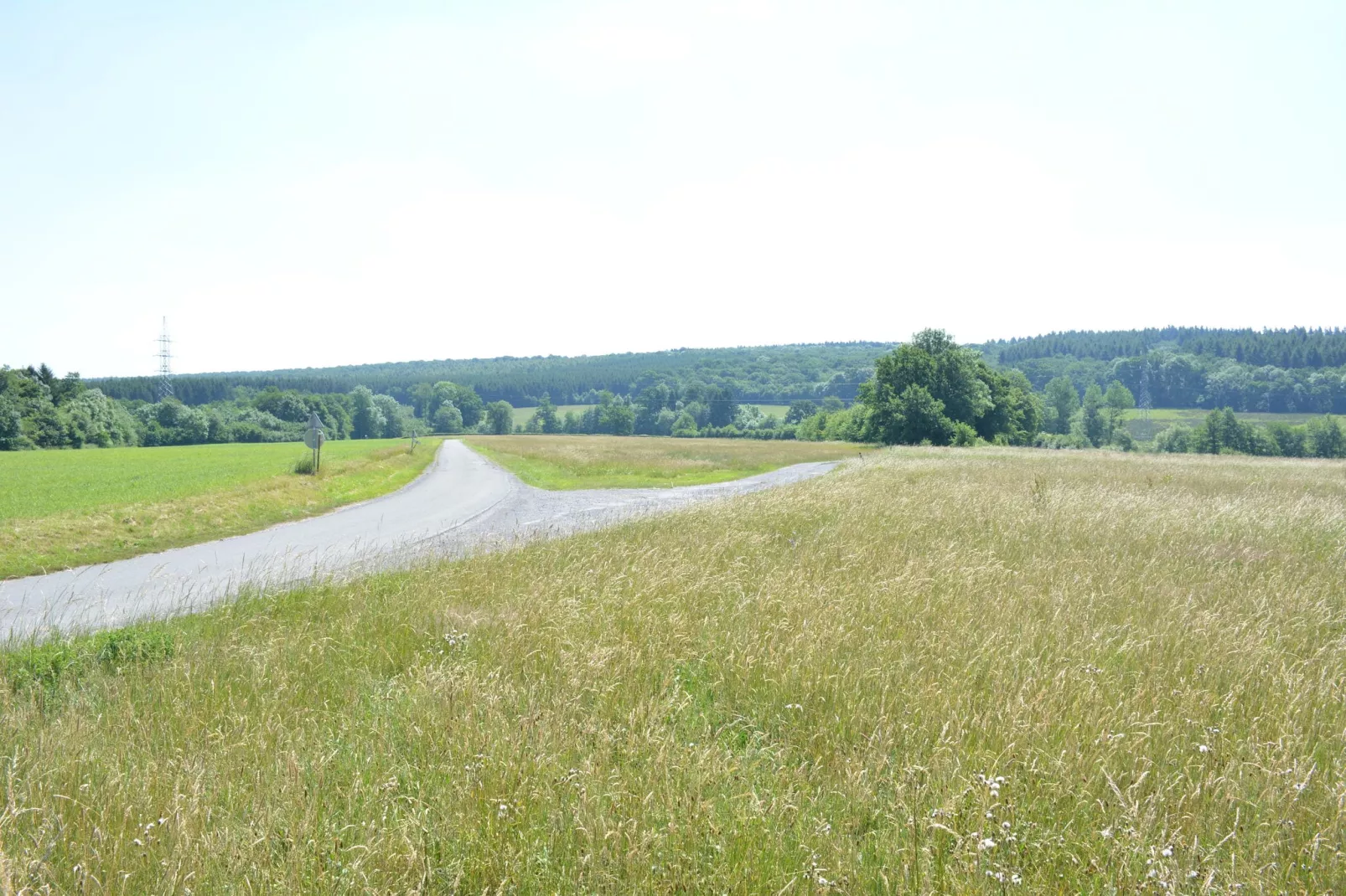 La Drève du Château-Gebieden zomer 1km