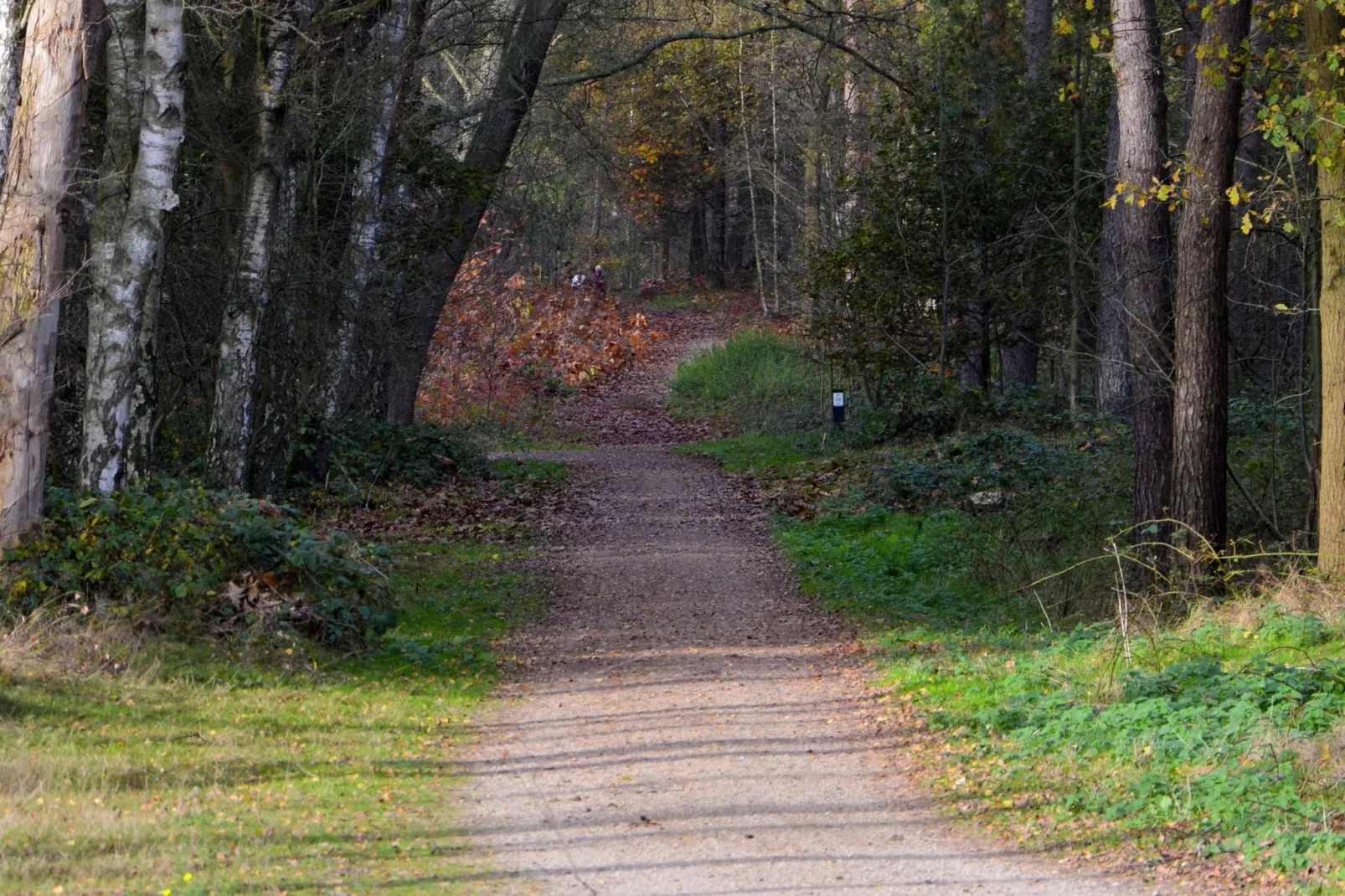 Garden Villa 4 pers-Gebieden zomer 5km
