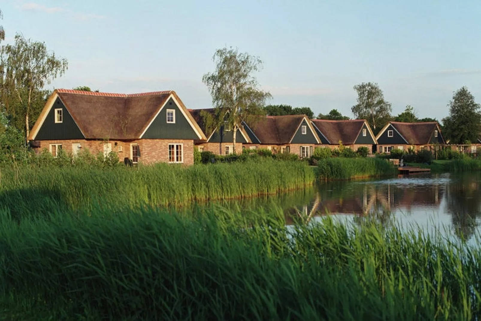 Villapark De Weerribben 2-Buitenkant zomer