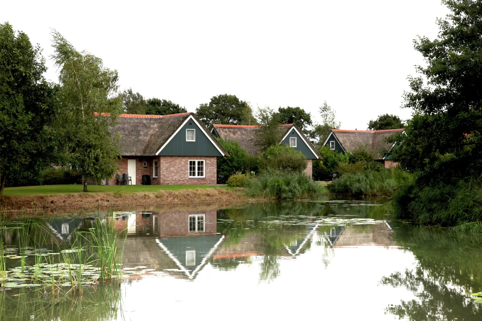 Villapark De Weerribben 5-Buitenkant zomer