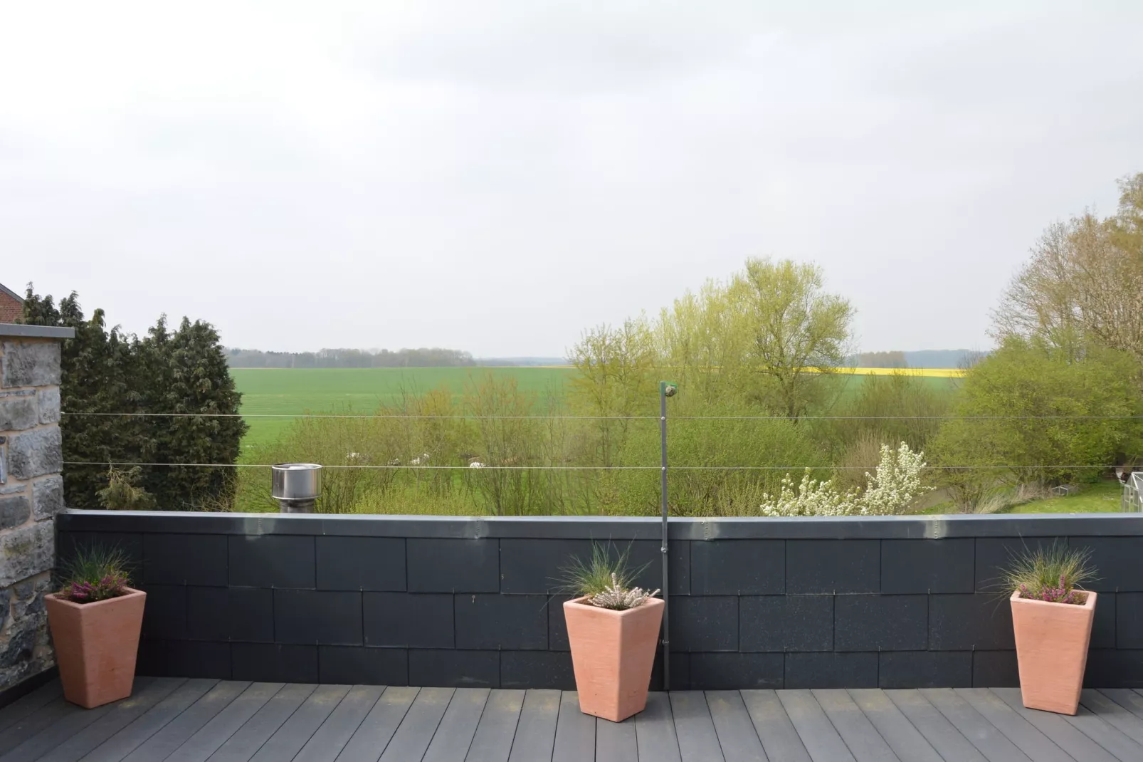 Les secrets du chat-Terrasbalkon