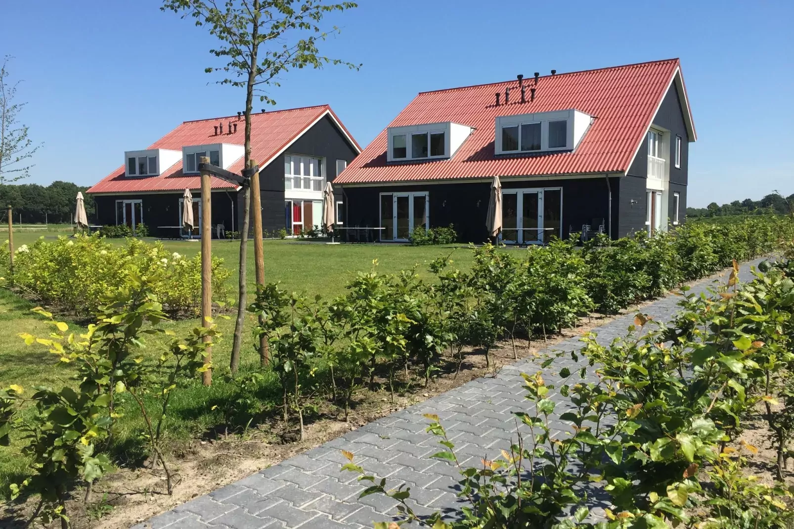 Résidence de Weerribben 2-Buitenkant zomer