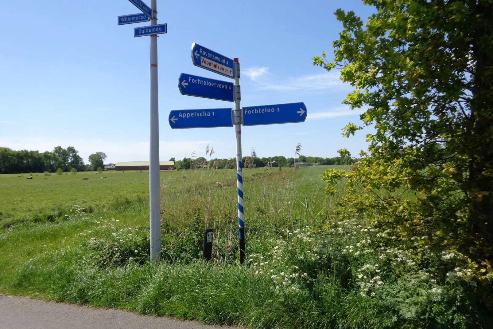 Singelhoeve-Gebieden zomer 1km