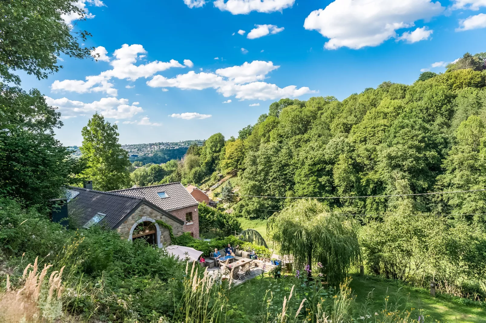 Beautiful home in nature with pool-Uitzicht zomer