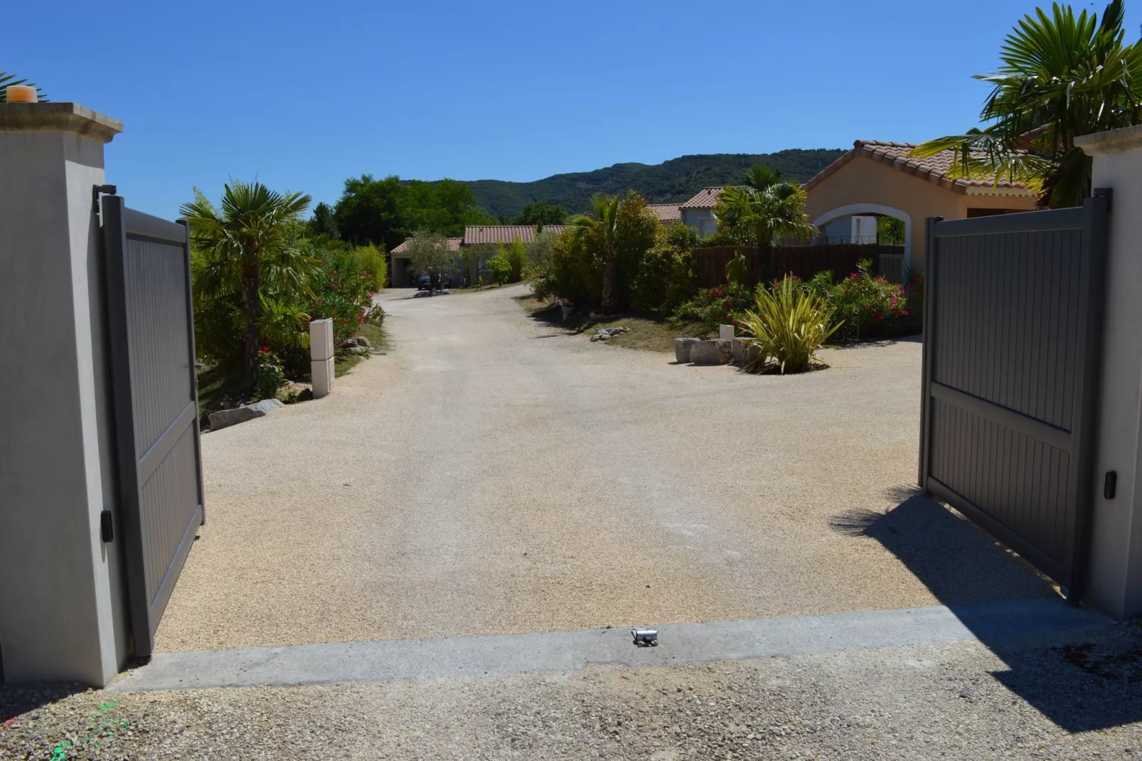 Sampzon Mimosa ou Iris - Tuinen zomer