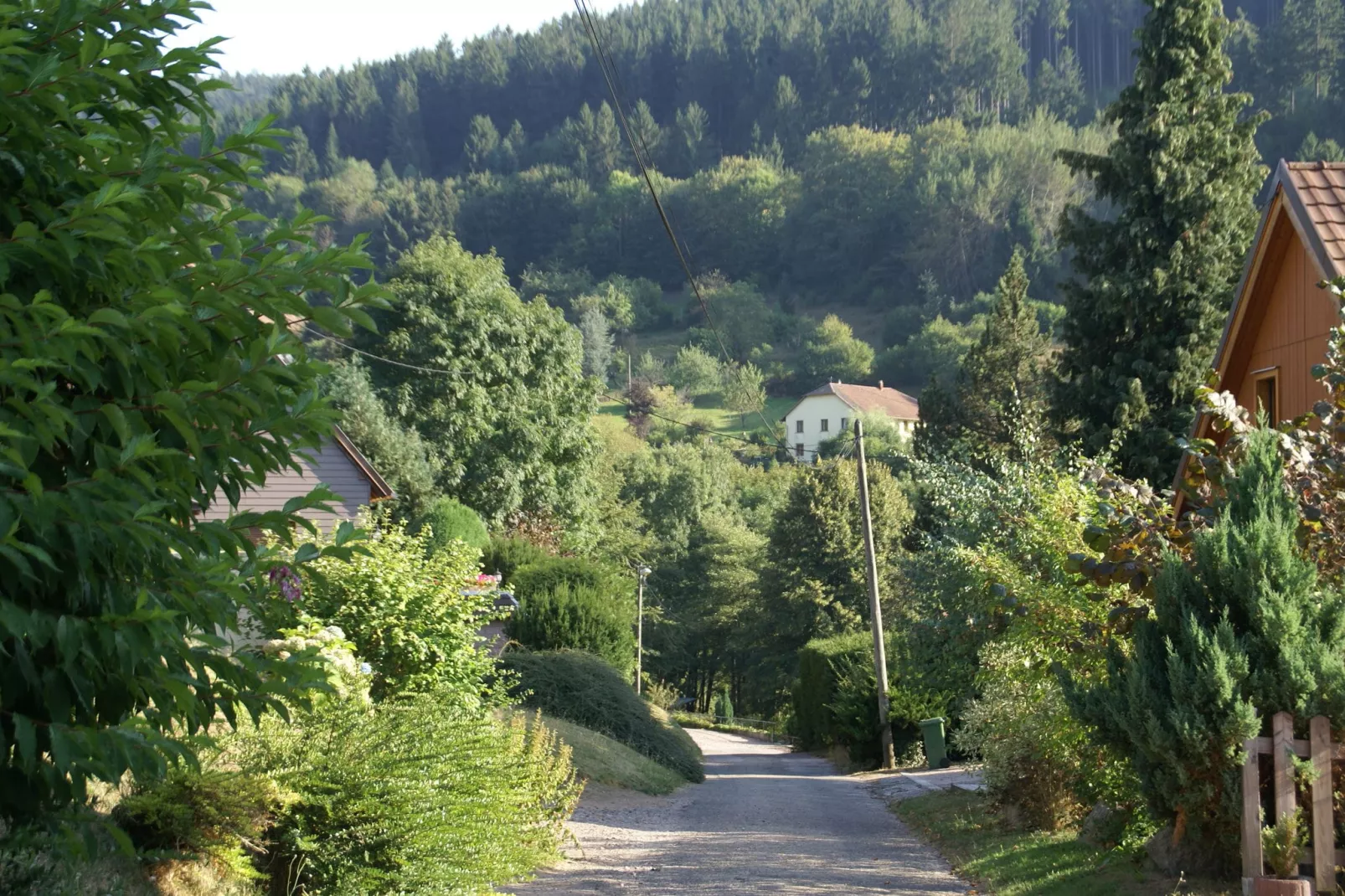 Ronds Chetys-Gebieden zomer 5km