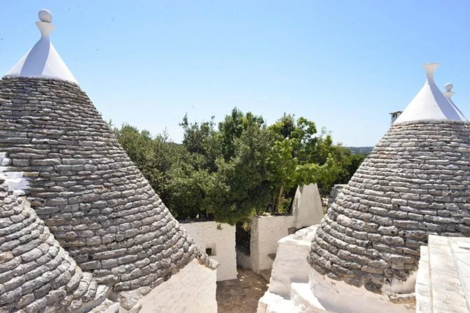 Trullo Cisternino - Type Trullo Francesco Fragnelli-Gebieden zomer 1km