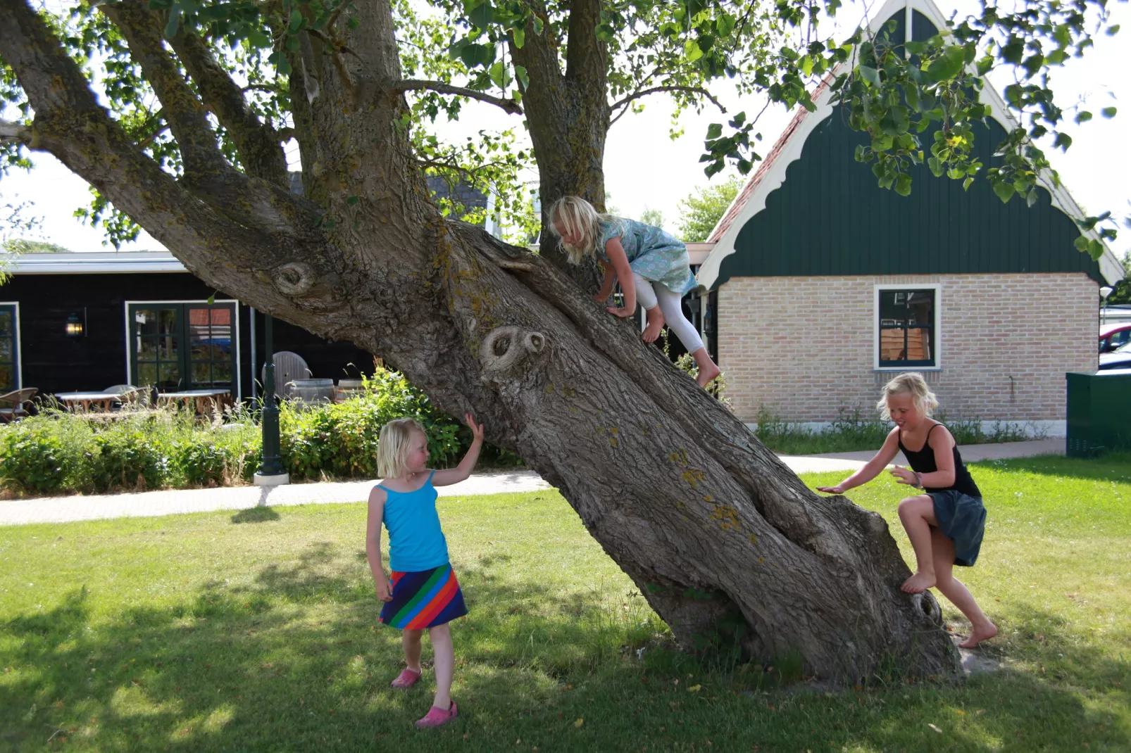Recreatiepark Wiringherlant - Wiringher Chalet 1-Gebieden zomer 1km