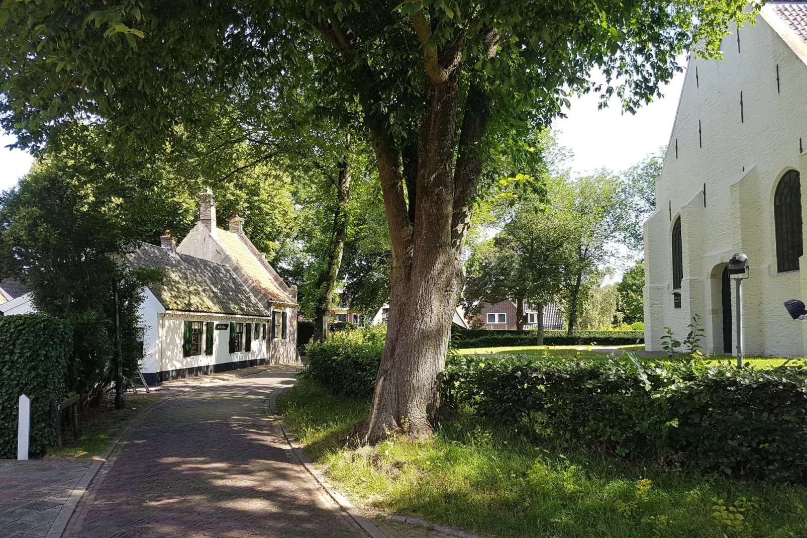 De Groene Lantaarn familie Villa-Gebieden zomer 1km
