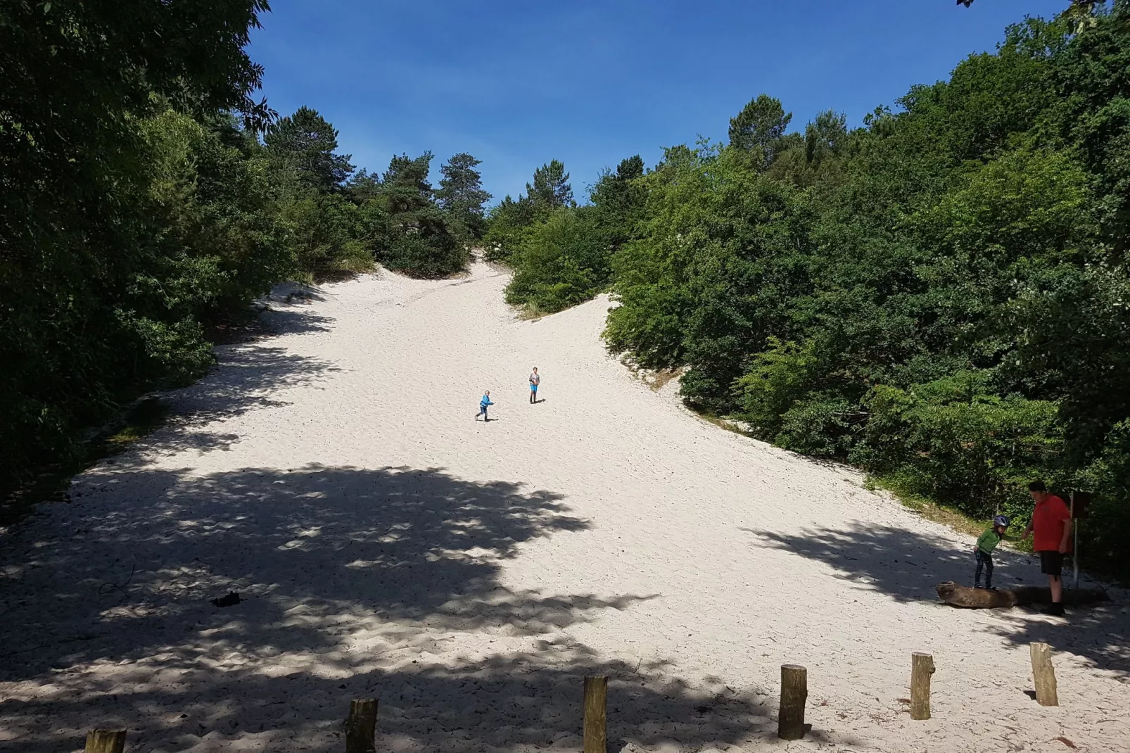 De Groene Lantaarn familie Villa-Gebieden zomer 5km