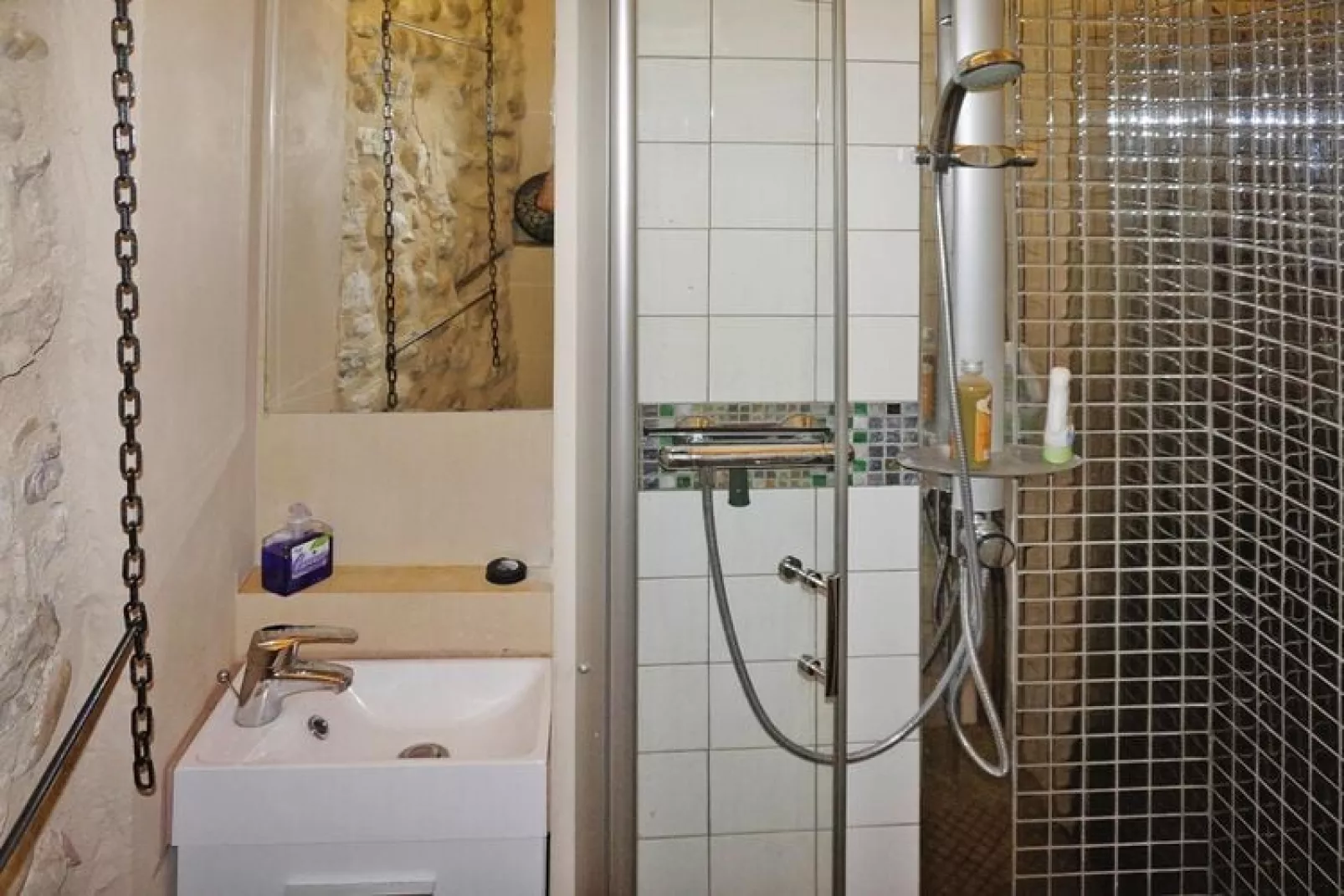 Ferienhaus in Sainte-Croix-du-Verdon-Badkamer
