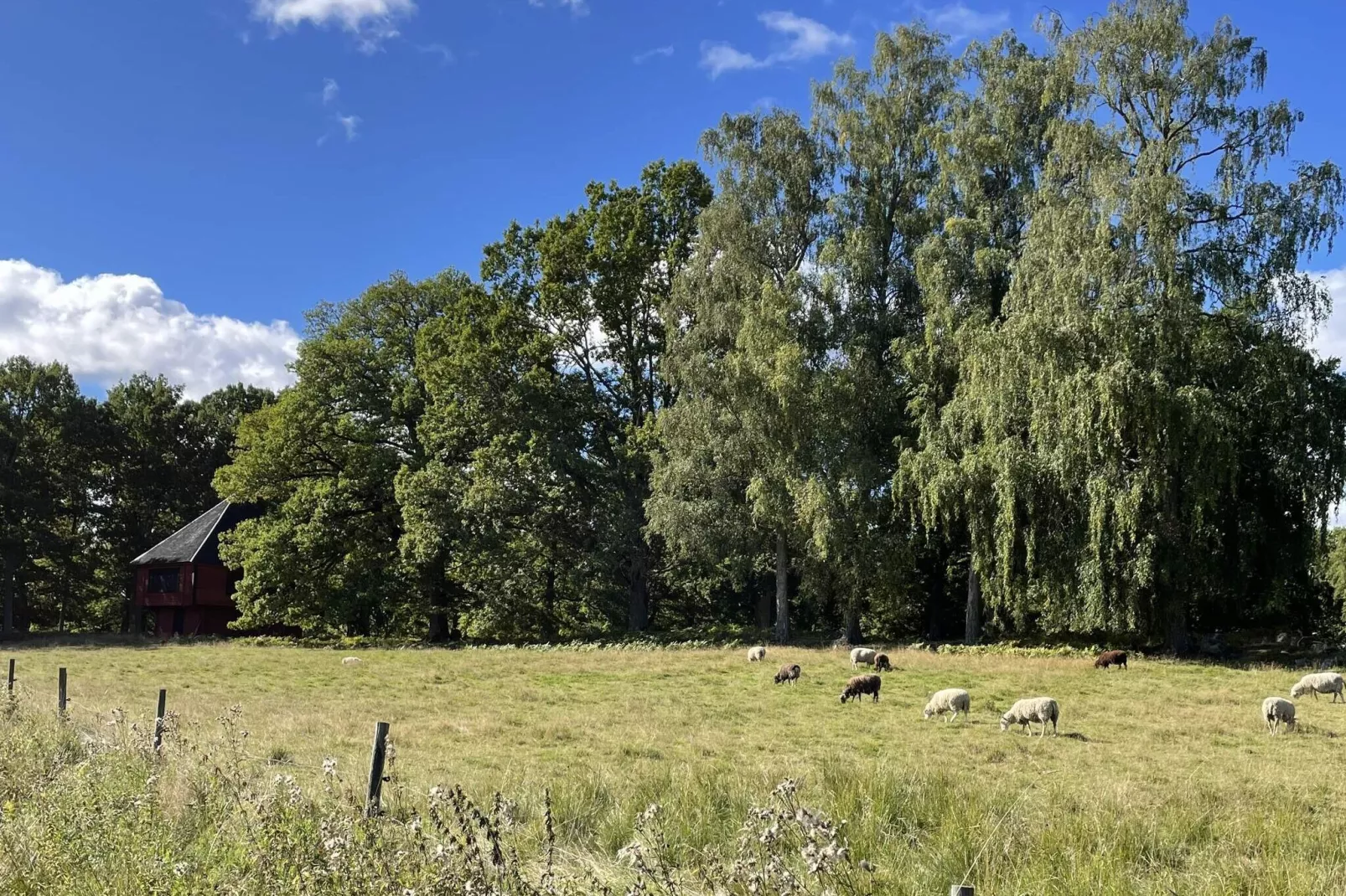 4 persoons vakantie huis in Högsjö-By Traum-Niet-getagd