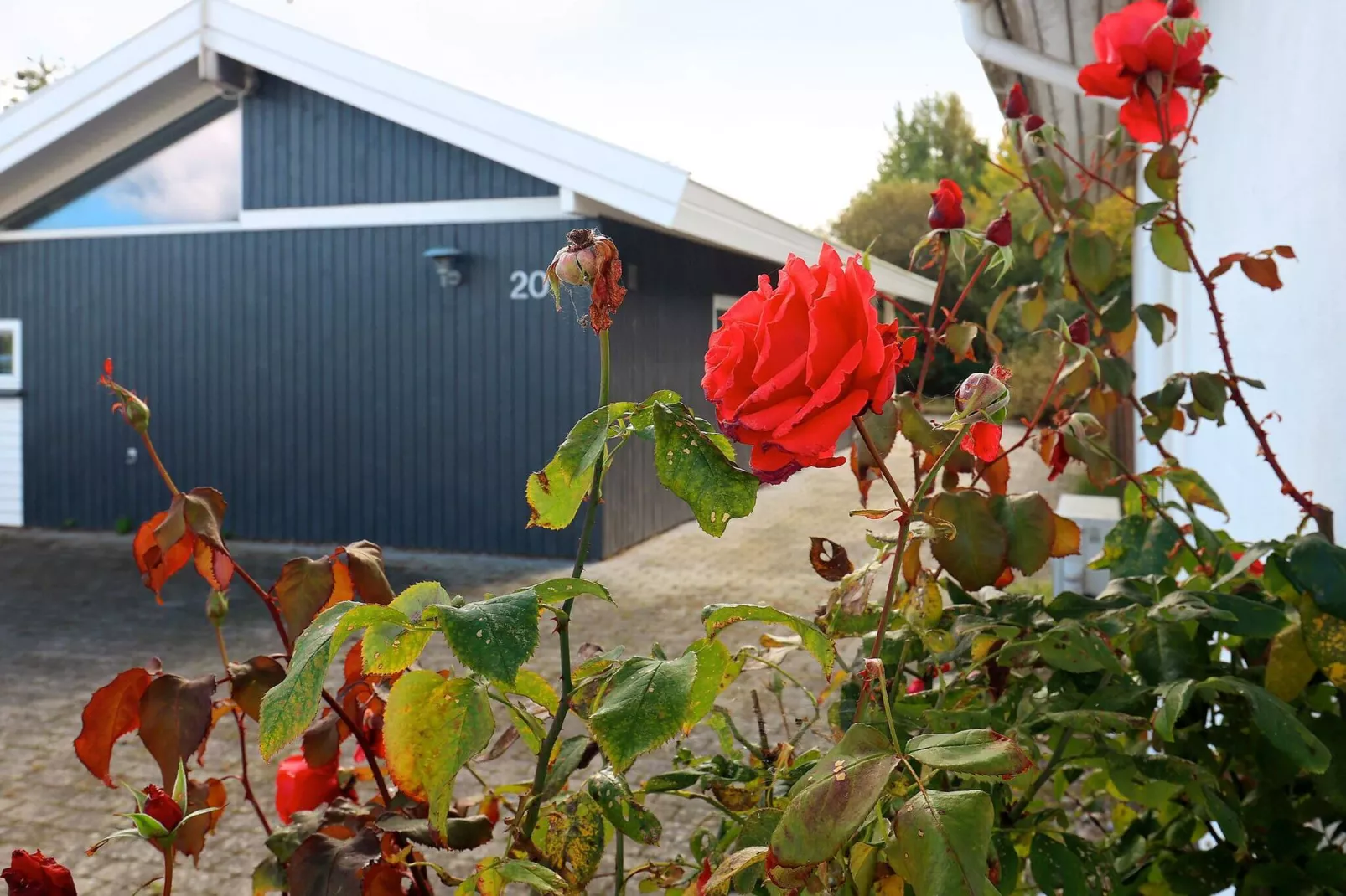 8 persoons vakantie huis in Frørup-By Traum
