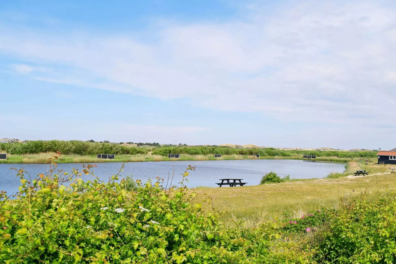 6 persoons vakantie huis in Ringkøbing-By Traum-Buitenlucht