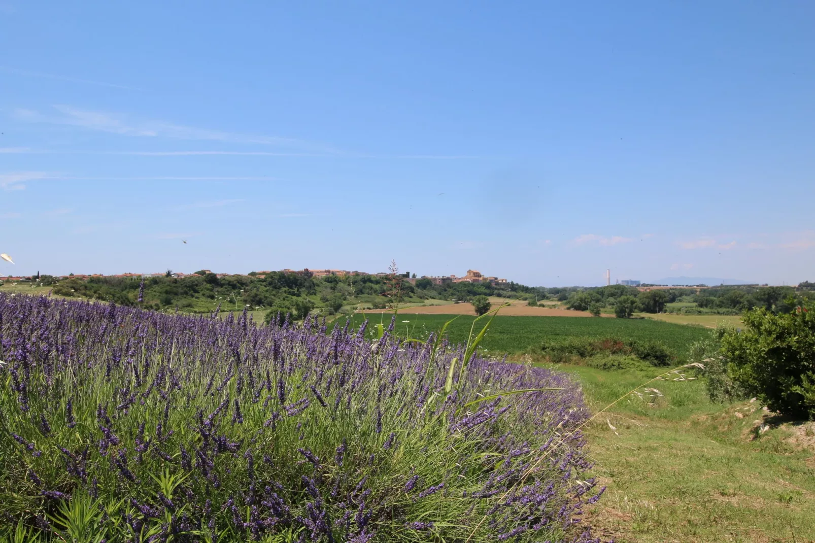 Corbezzolo-Tuinen zomer