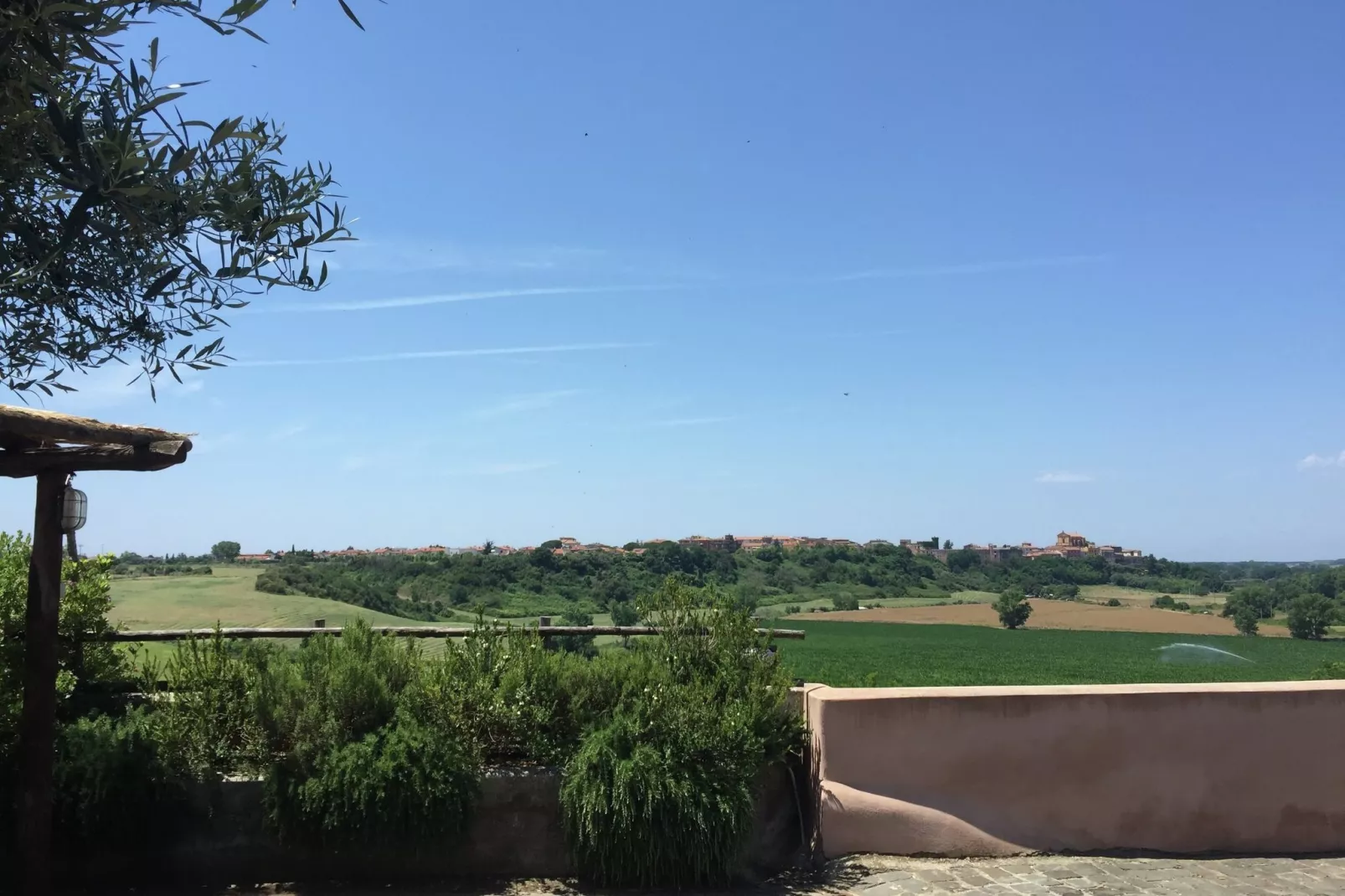 Corbezzolo-Uitzicht zomer