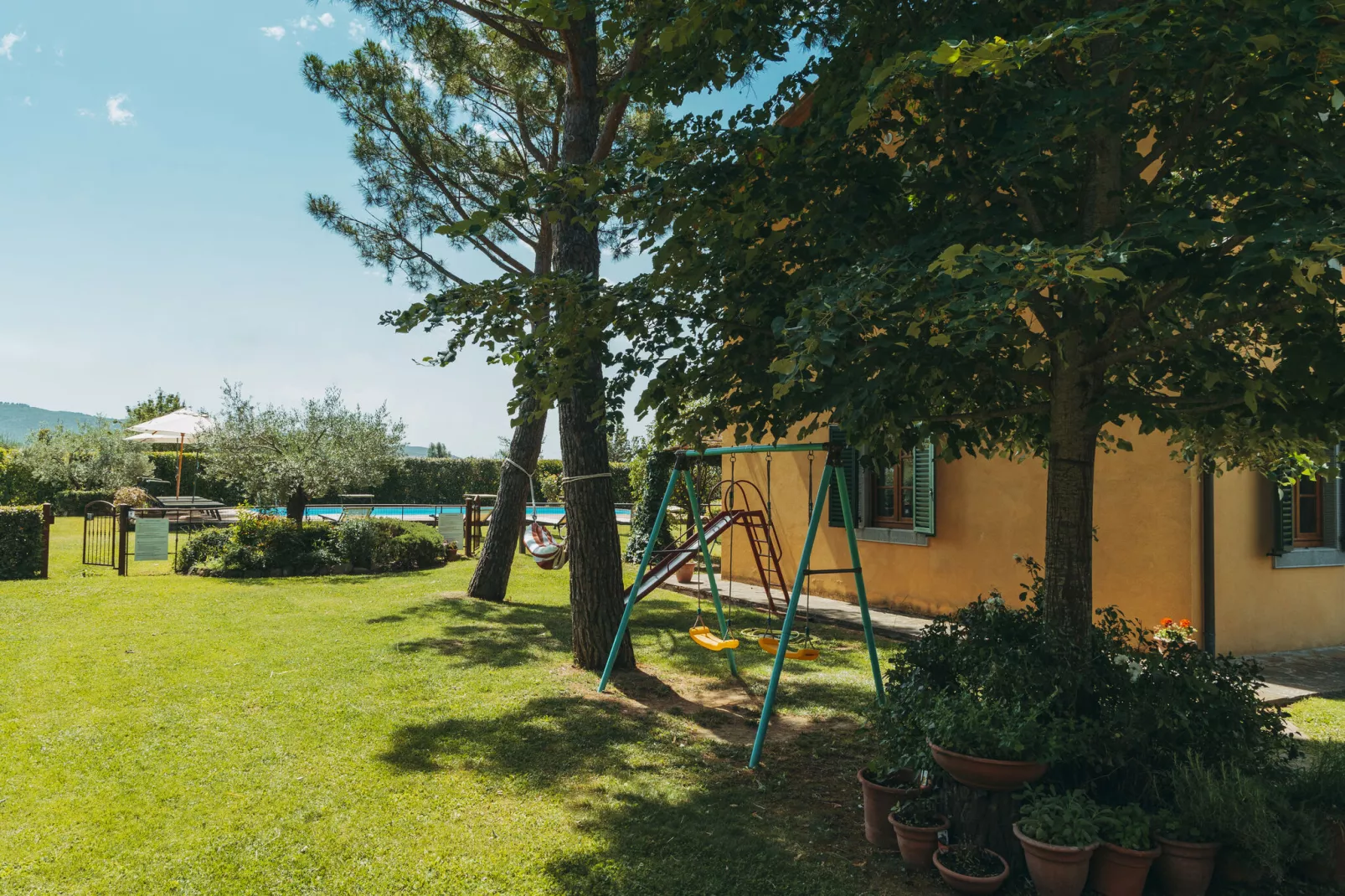 Due Olivi