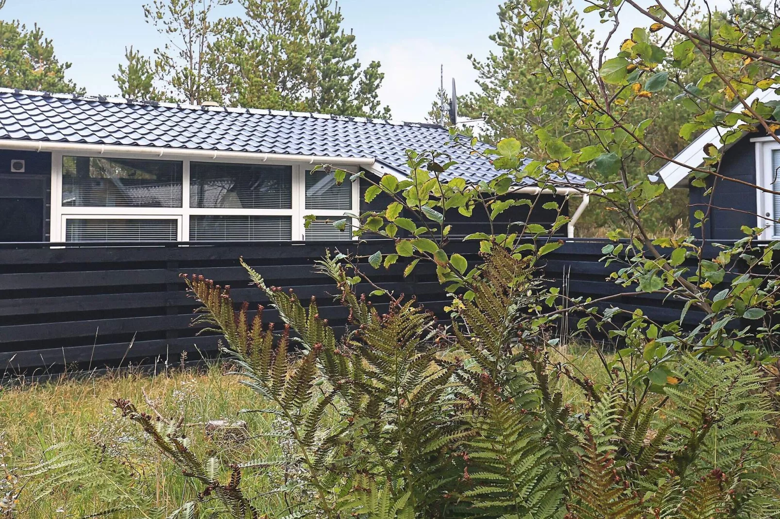 5 persoons vakantie huis in Thisted-By Traum-Buitenlucht