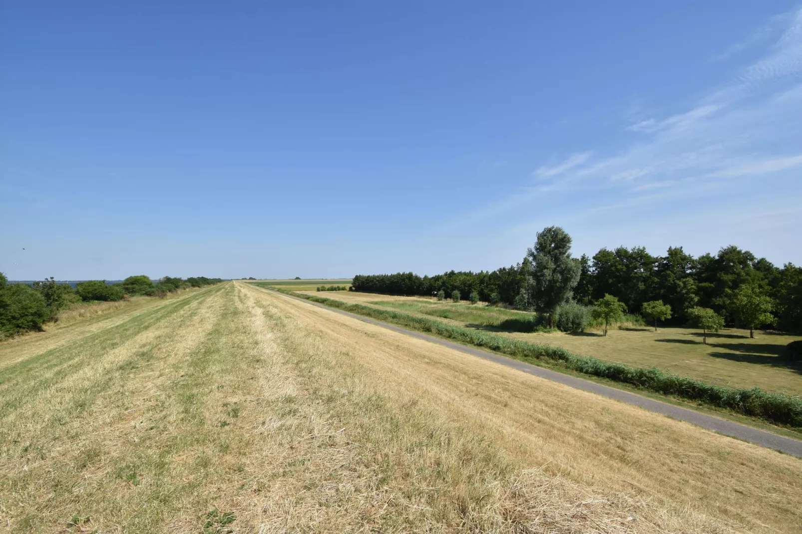 Het Karreveld-Gebieden zomer 1km