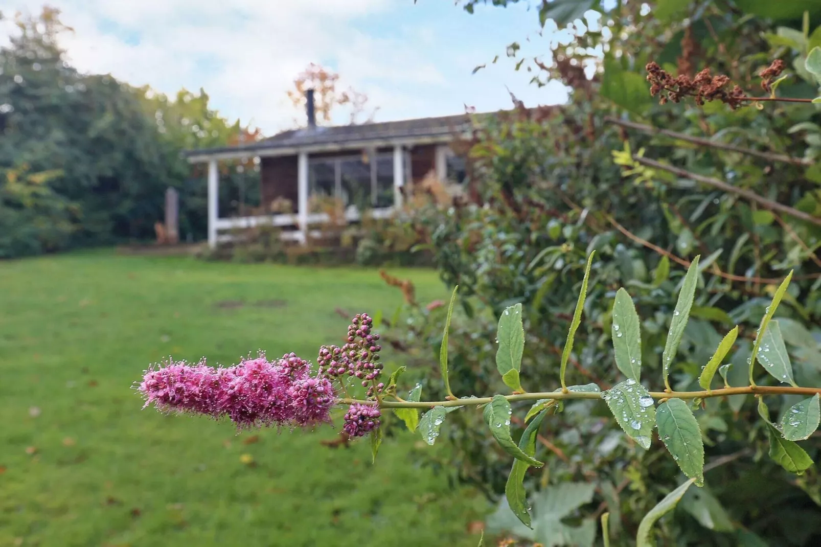 4 persoons vakantie huis in Mesinge-By Traum-Uitzicht