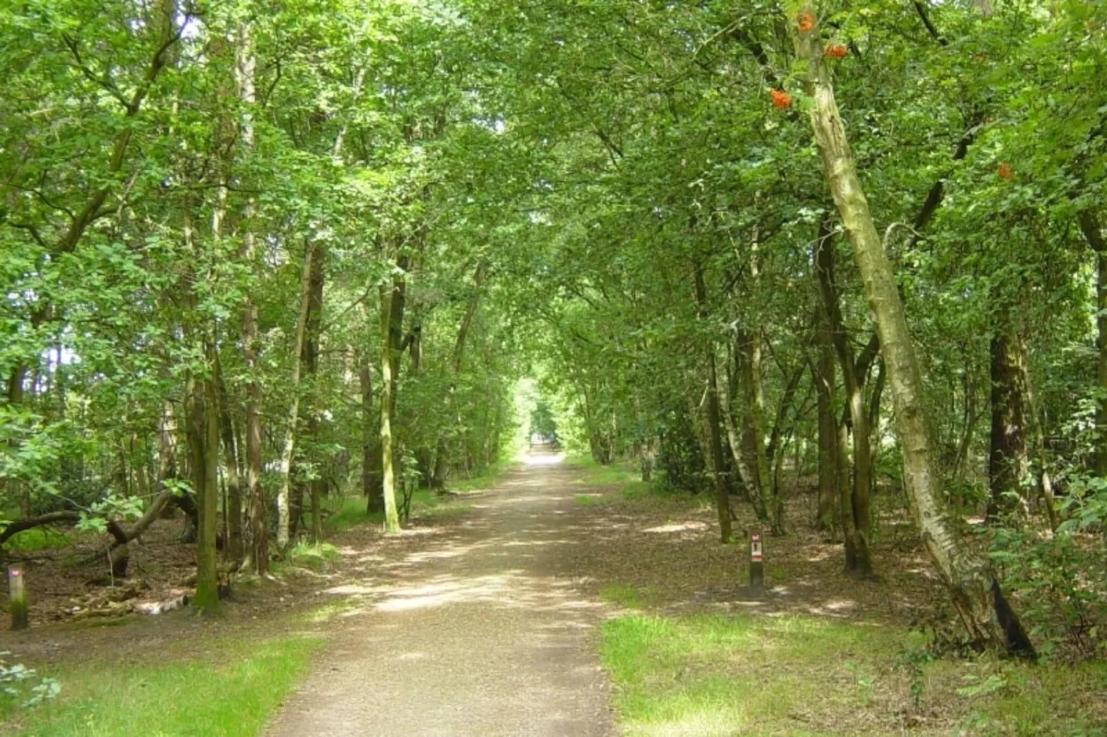 Recreatiepark de Stelhoeve 2