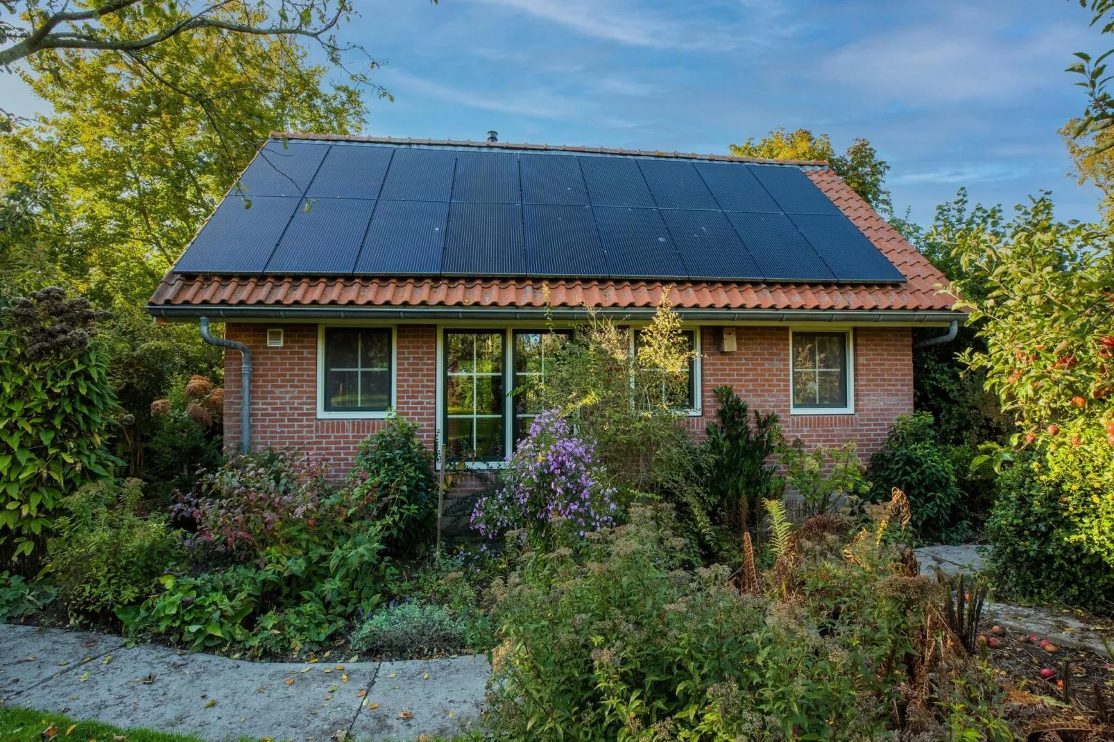 Vakantiewoning Wijnaldum-Buitenkant zomer