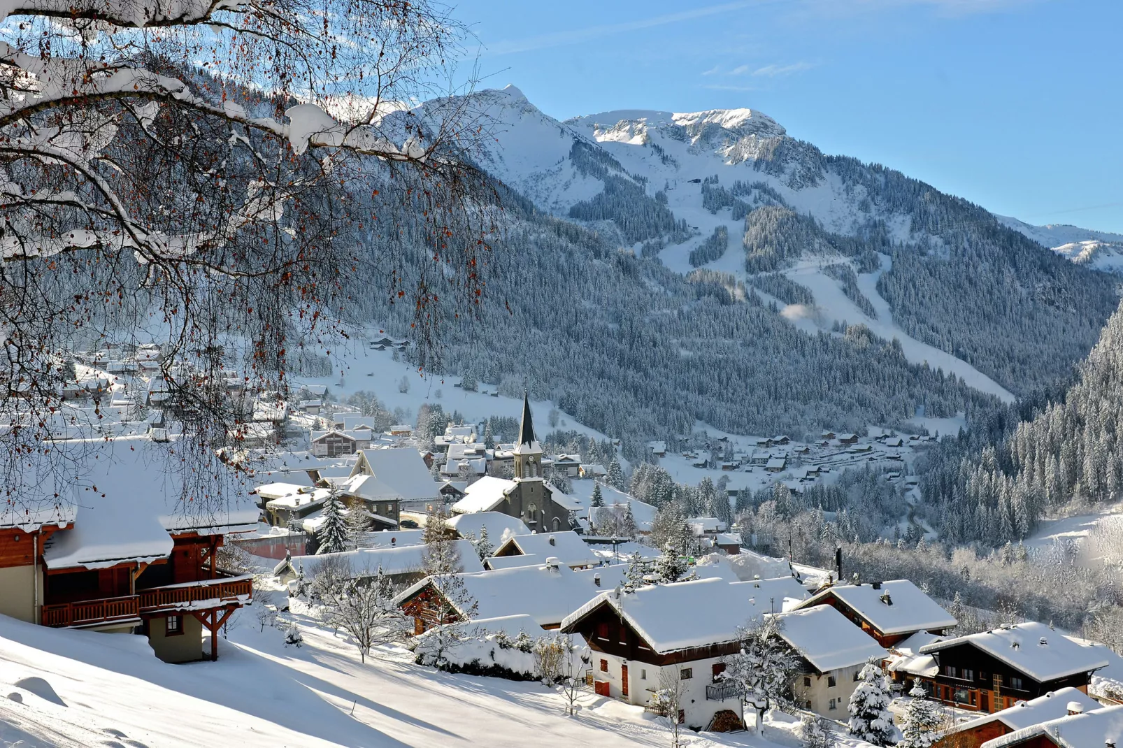 Moderne vakantiehuis in Châtel met balkon-Gebied winter 1km