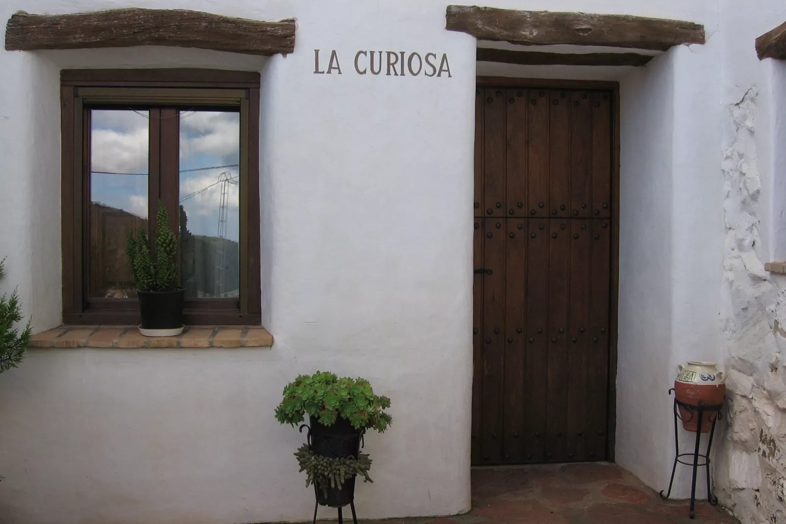 La Curiosa