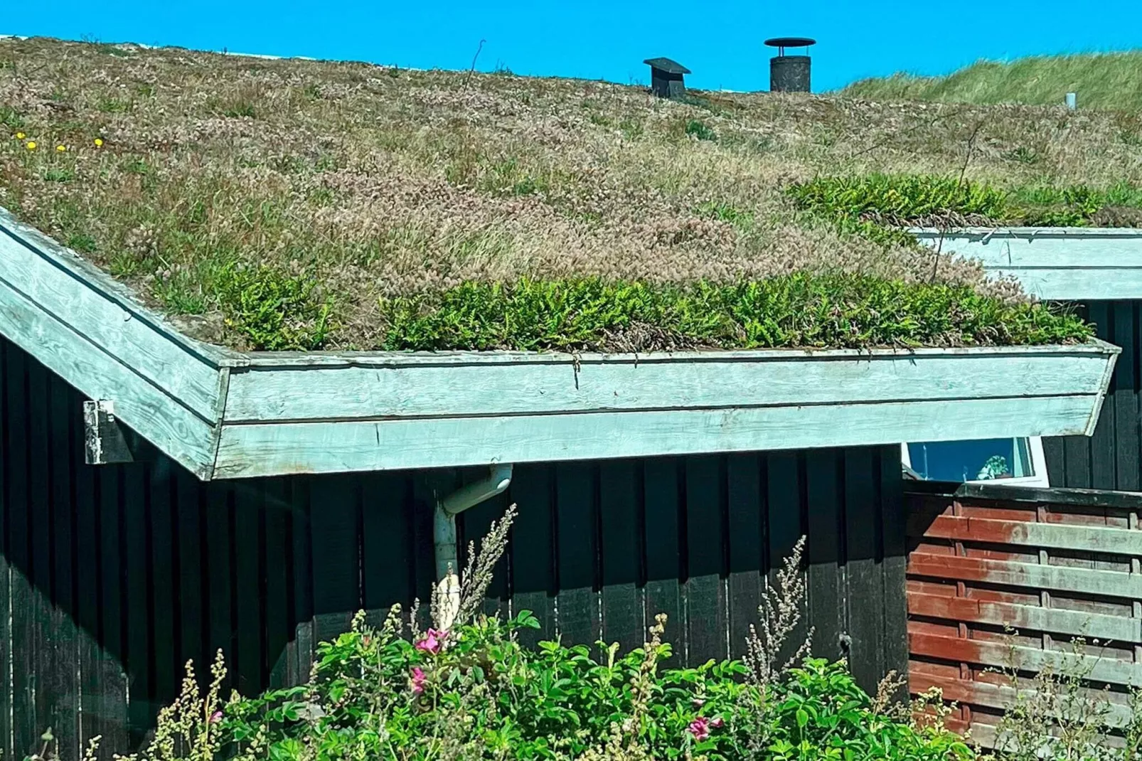 8 persoons vakantie huis in Saltum-By Traum
