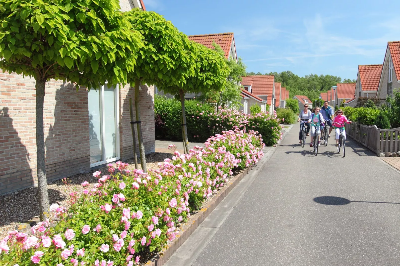 Vakantiepark Zeebad 16-Gebieden zomer 1km