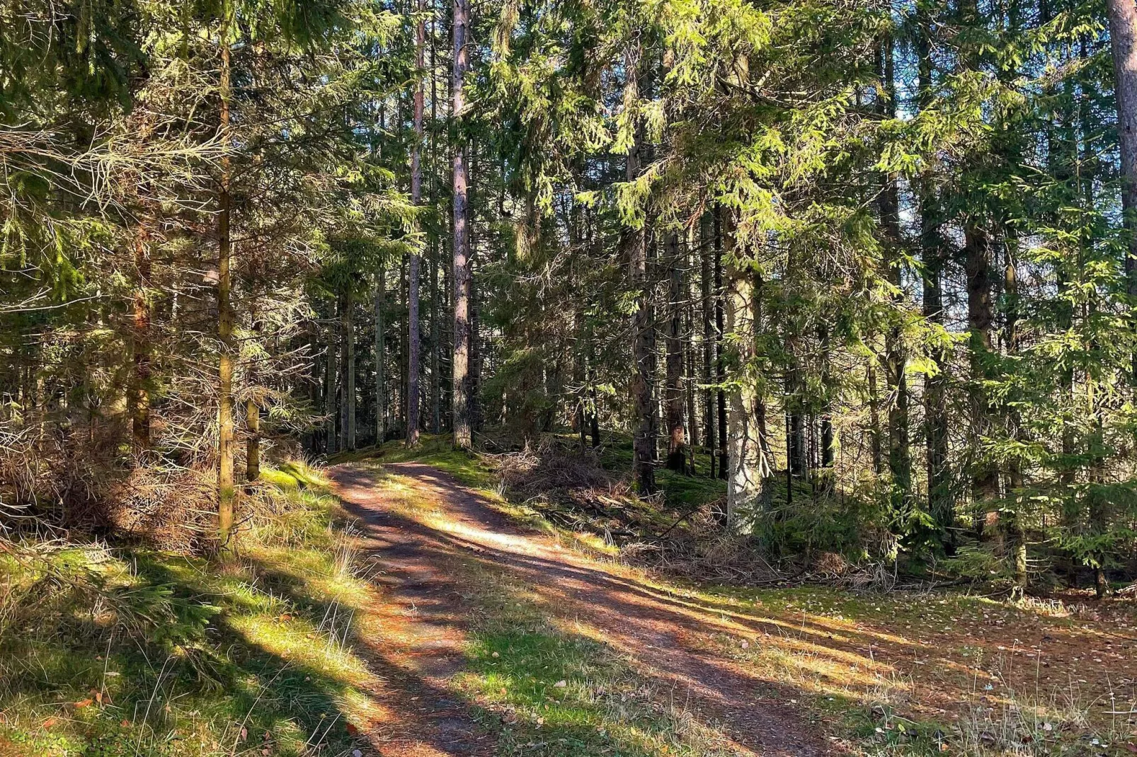5 persoons vakantie huis in Fjärås-By Traum-Niet-getagd