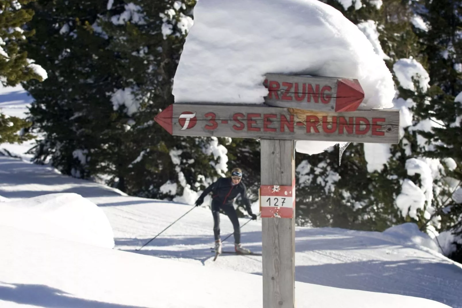 Alpenpark Turrach 6-Gebied winter 5km