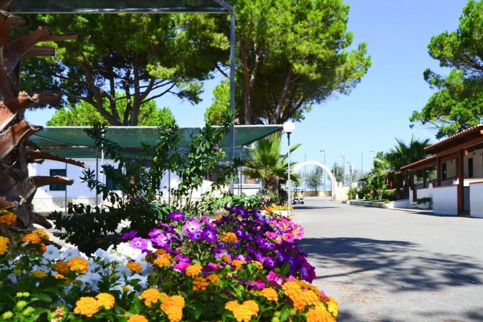 Holiday resort Villaggio Lido del Mare Lido del Sole App trilo 6 A-Tuinen zomer