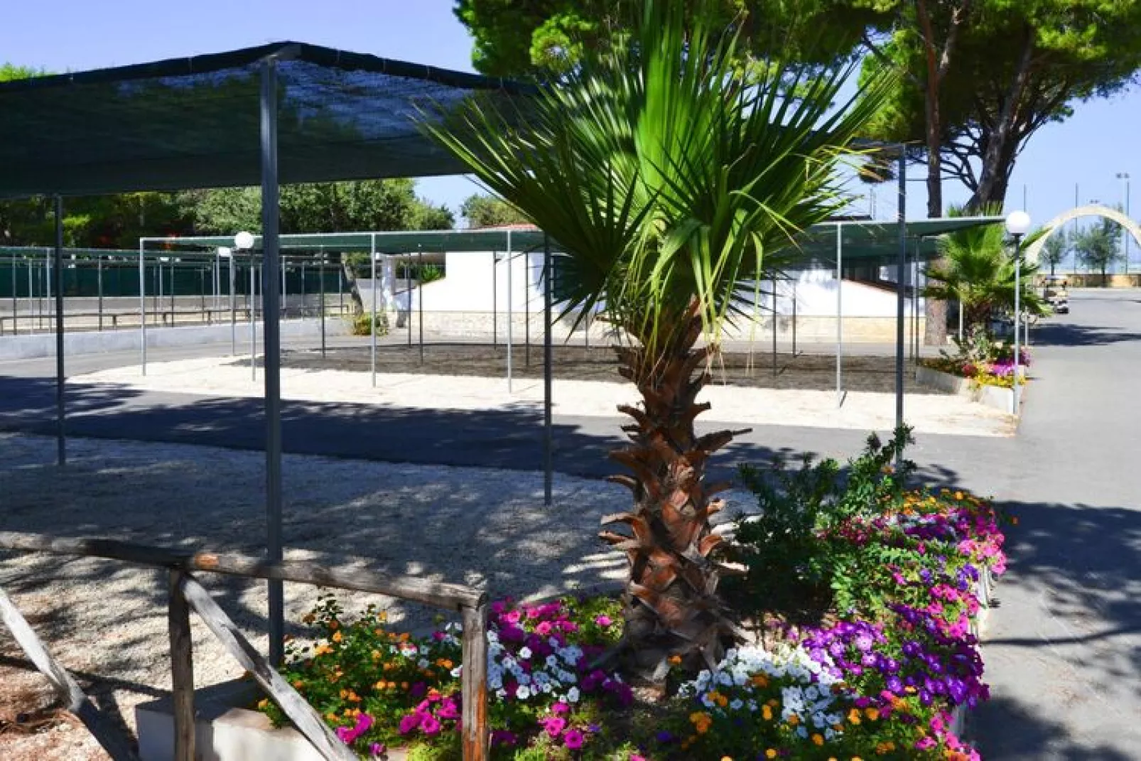 Holiday resort Villaggio Lido del Mare Lido del Sole App trilo 6 A-Tuinen zomer
