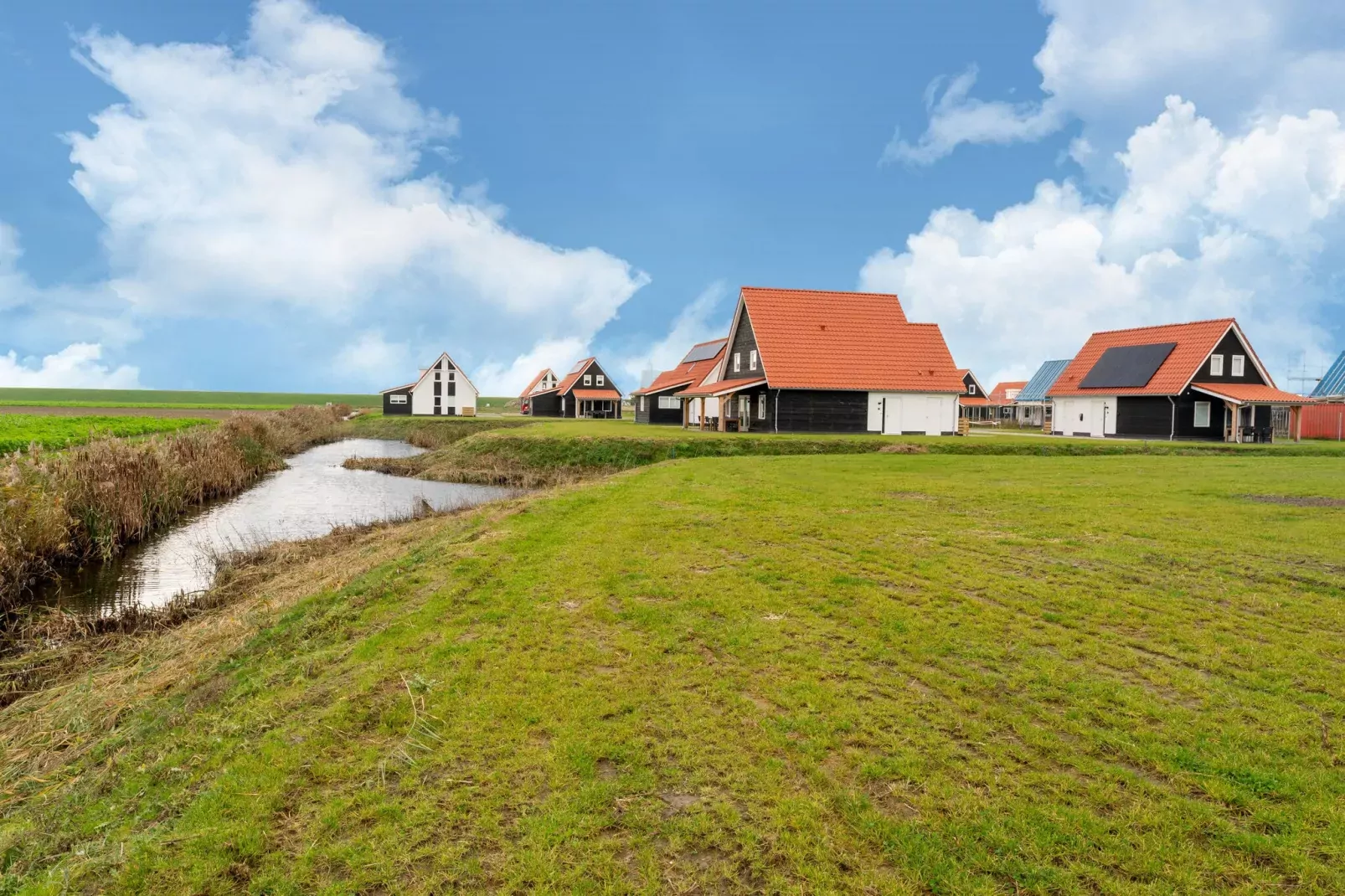 De Kokmeeuw Huis Nr 11-Tuinen zomer