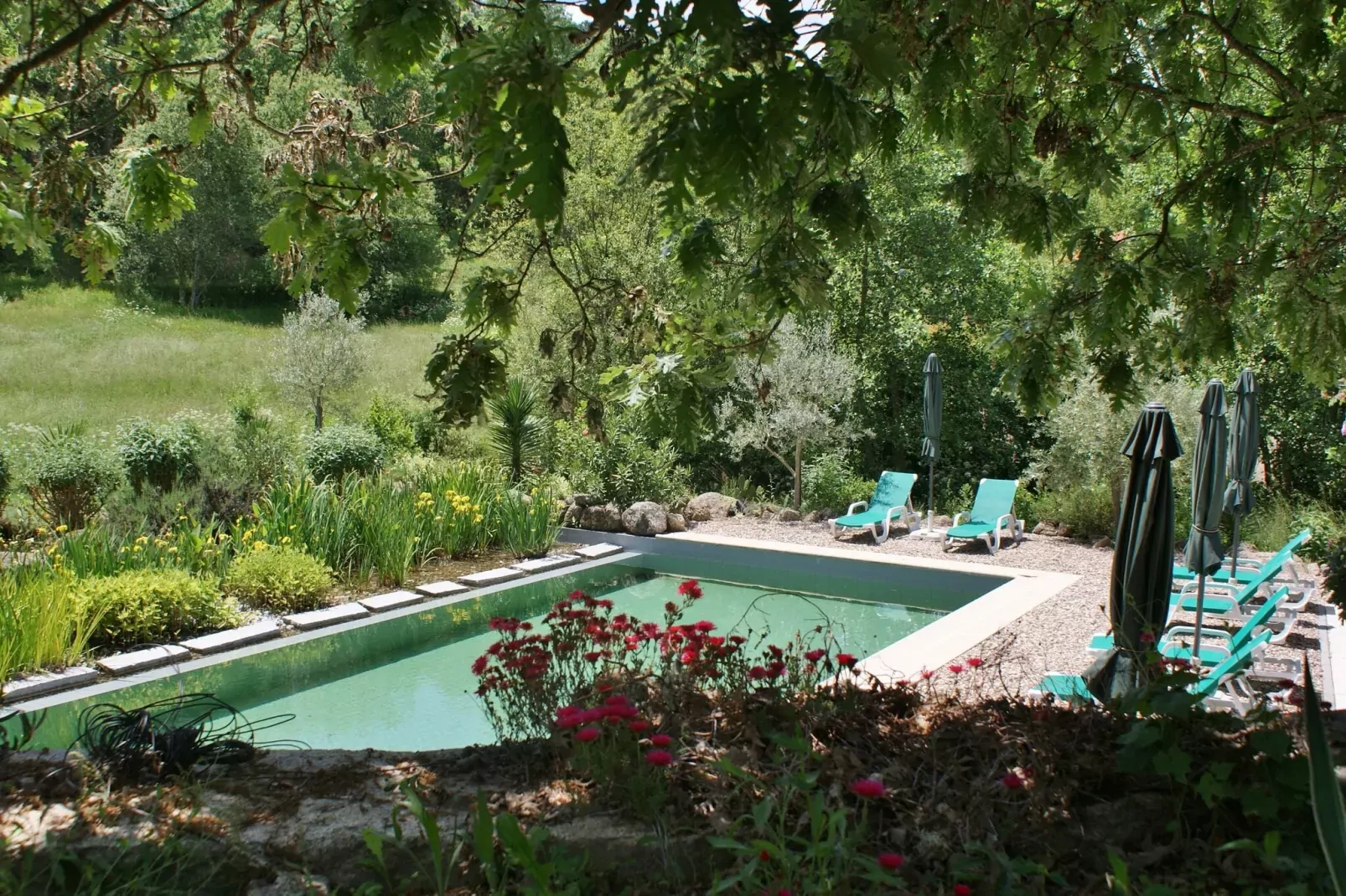 Casa Covas-Zwembad