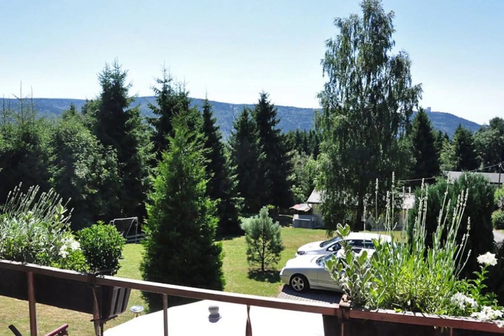 Ferienhaus Alwin-Uitzicht zomer