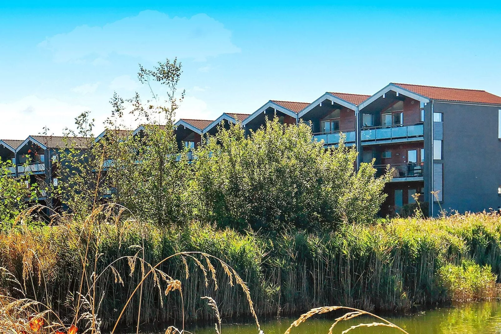 4 persoons vakantie huis in Bogense-By Traum-Niet-getagd