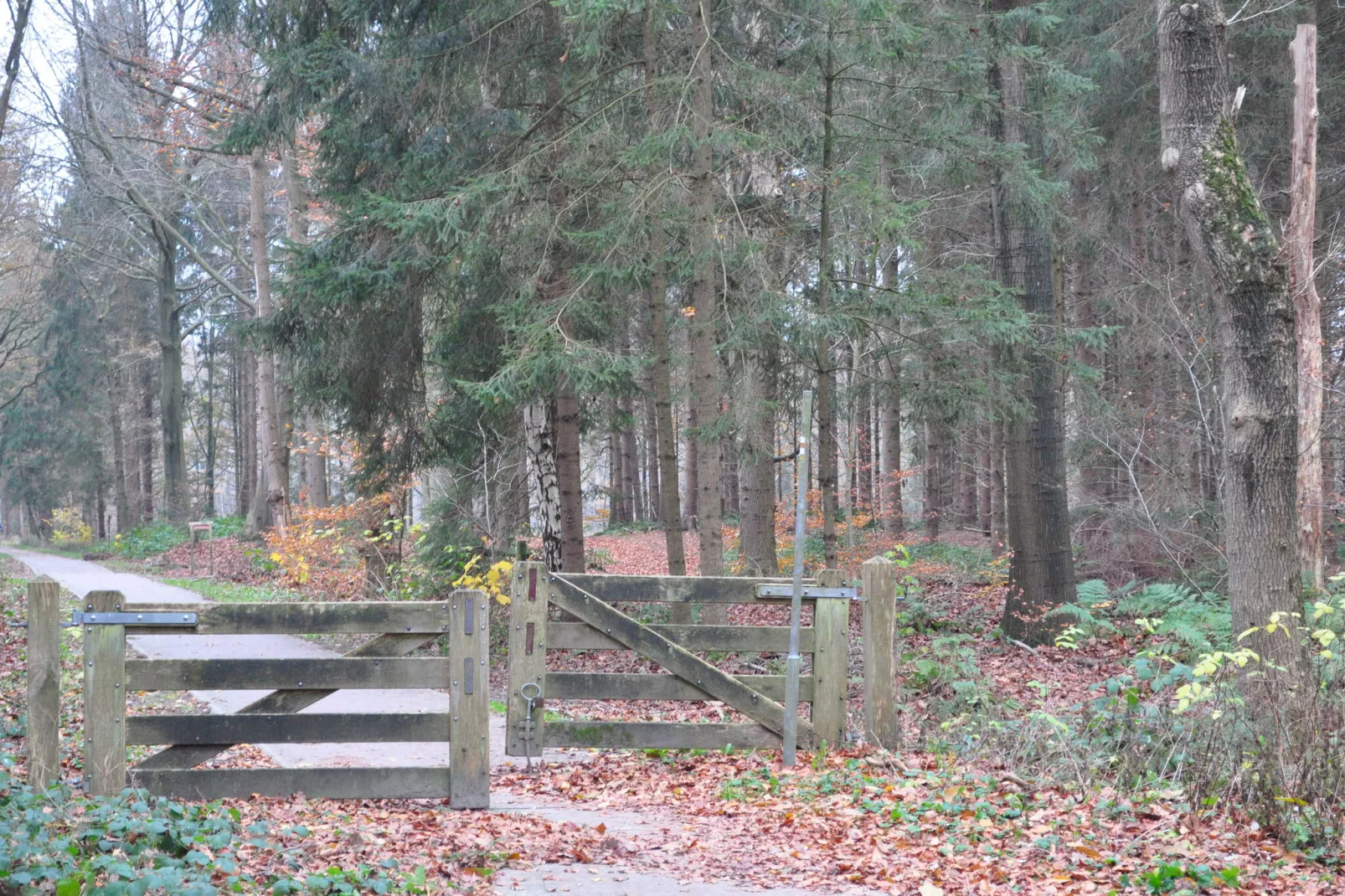 Loods 57B - Gebieden zomer 1km