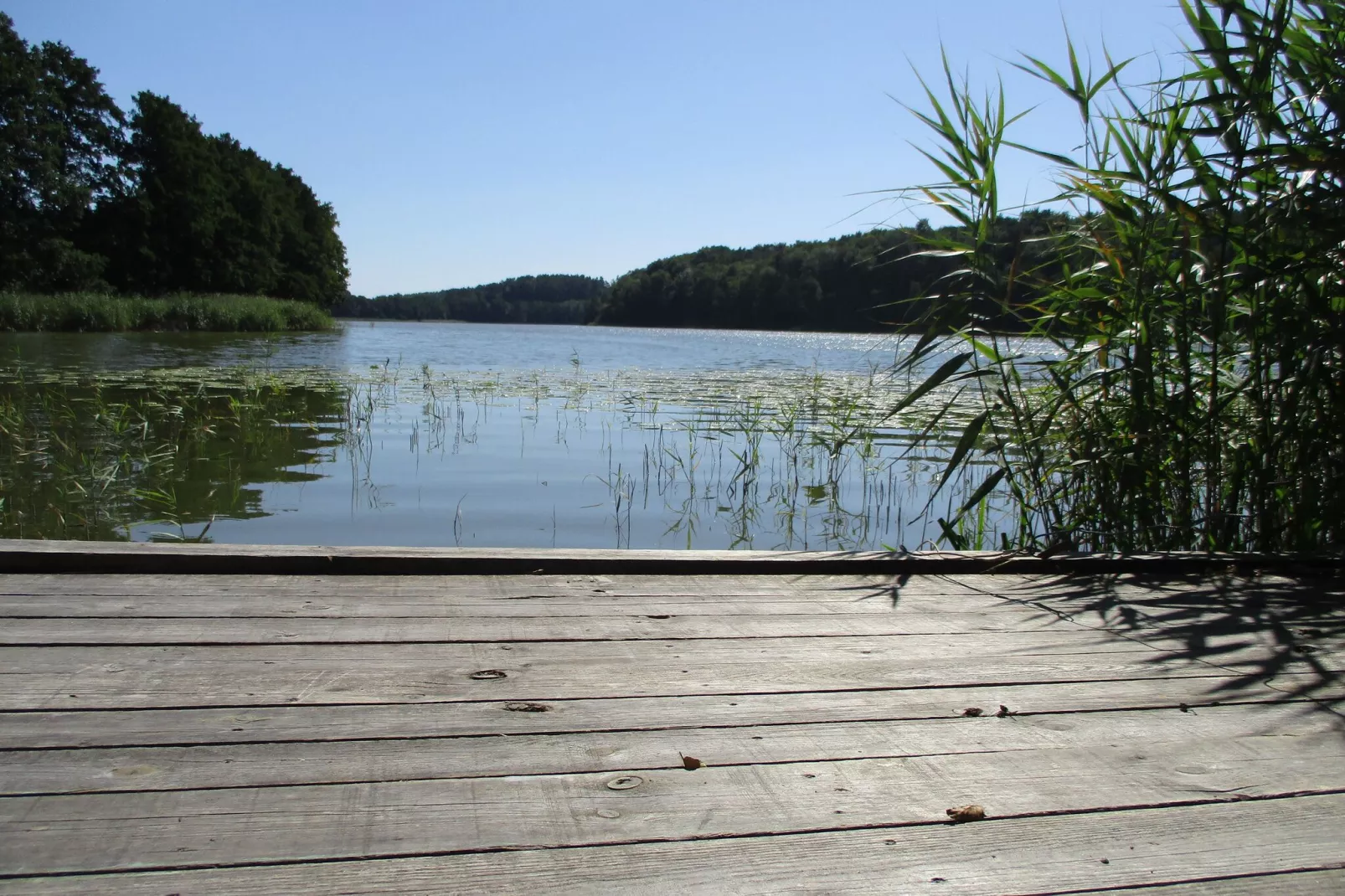 viewsummer