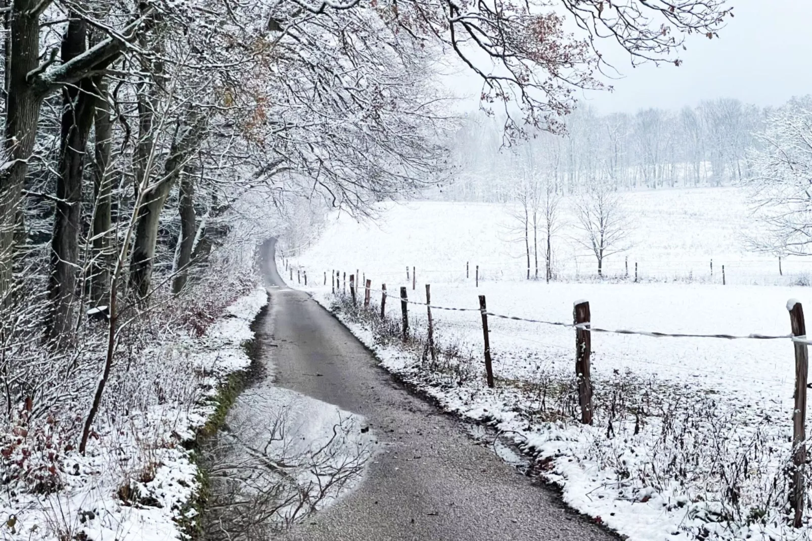Chata no 6-Exterieur winter