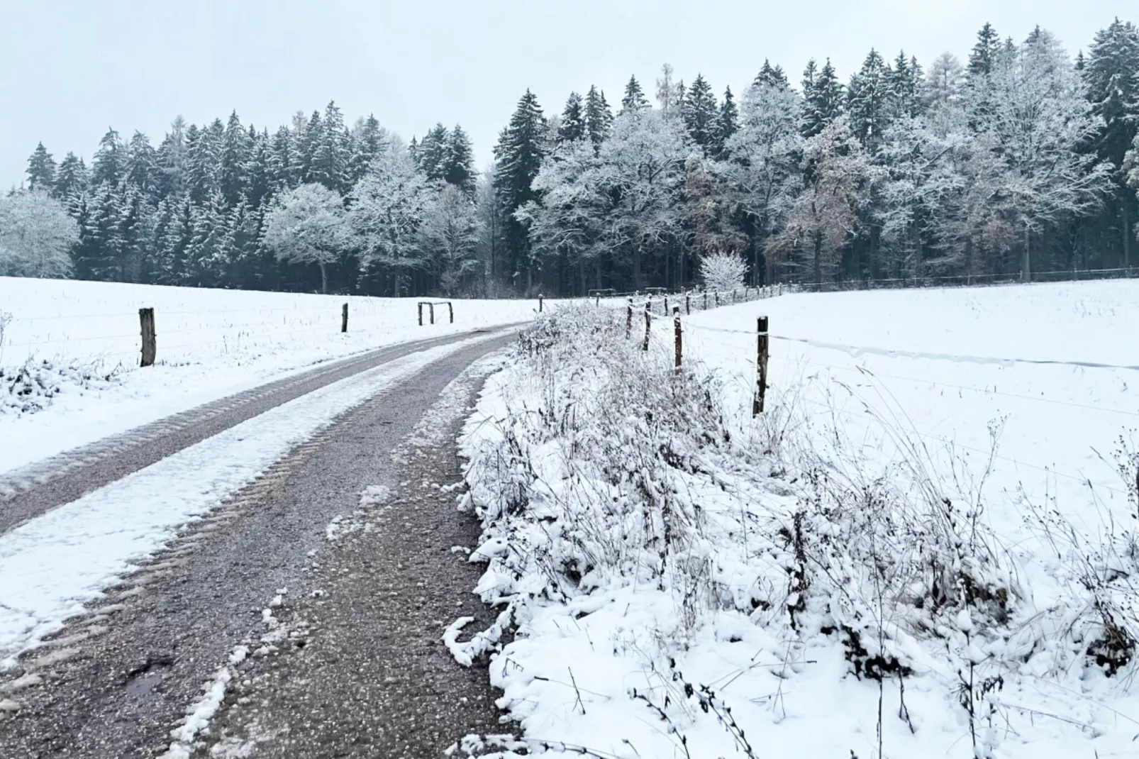 Chalet no 5-Exterieur winter