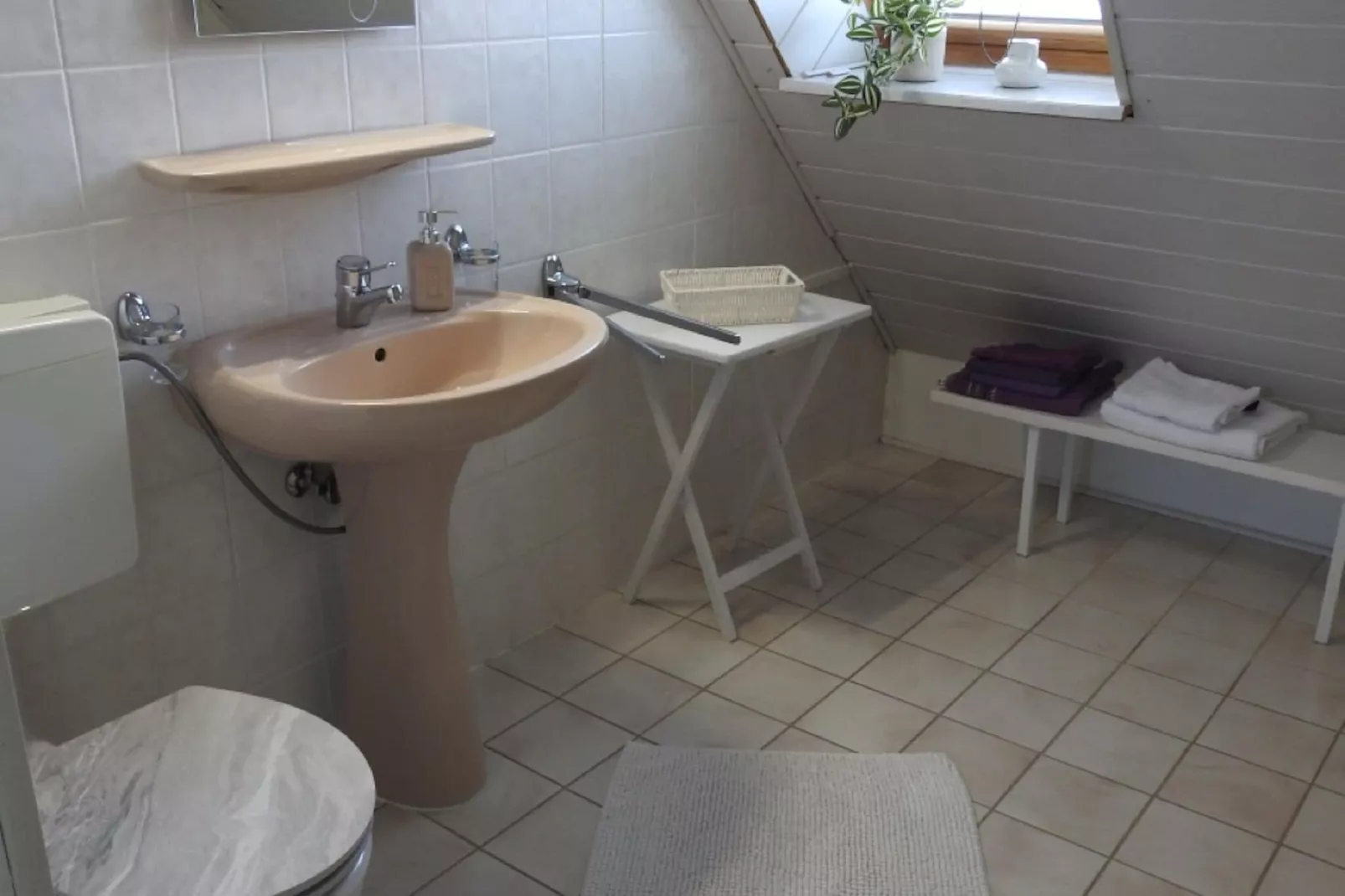 Ferienhaus Goertz in Ballenstedt-Badkamer