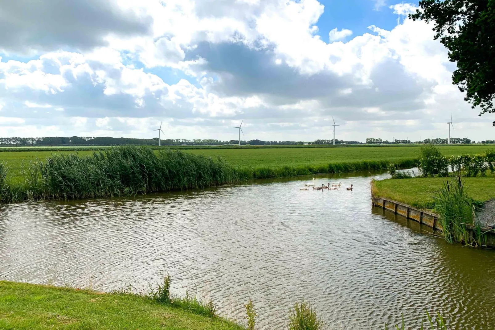 Park Westerkogge 10-Gebieden zomer 1km