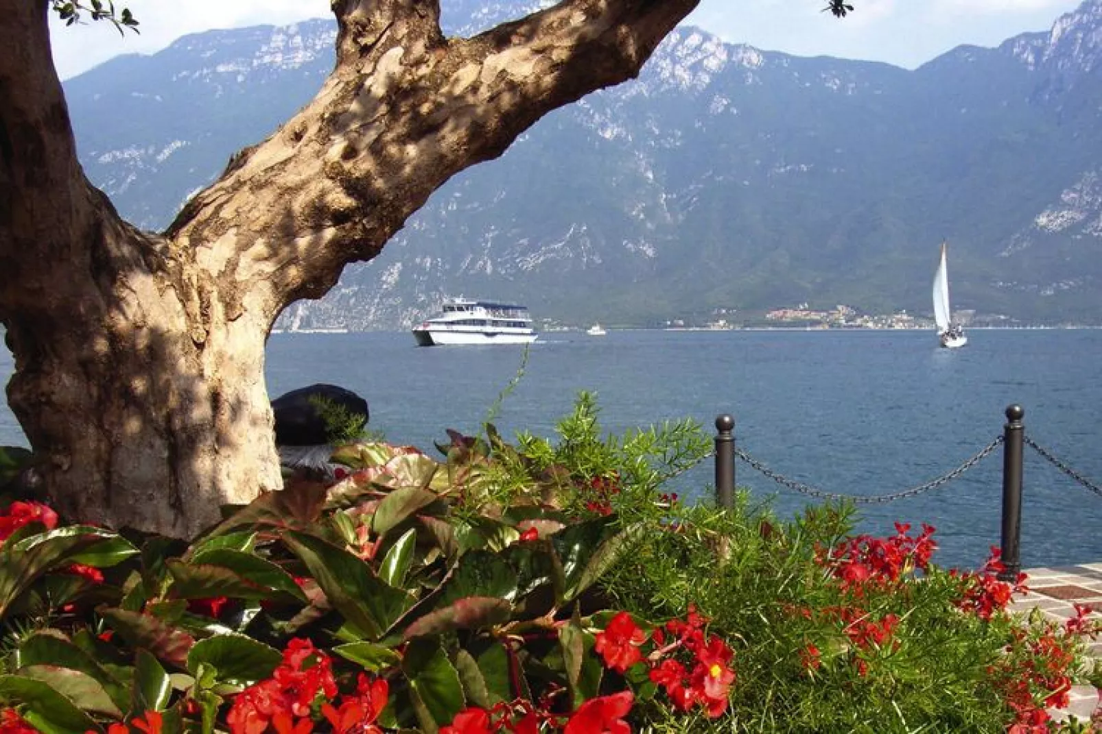 Residence Oasi, Limone sul Garda-trilo-Waterzicht