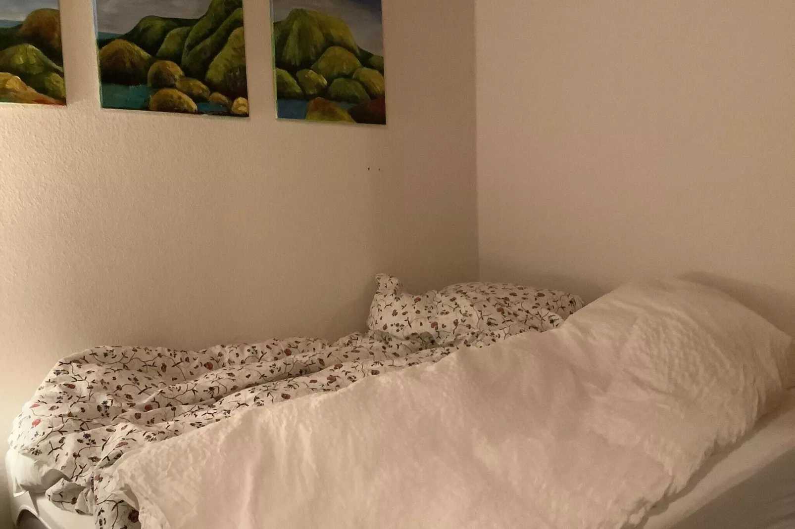 4 persoons vakantie huis in Aars-By Traum-Binnen