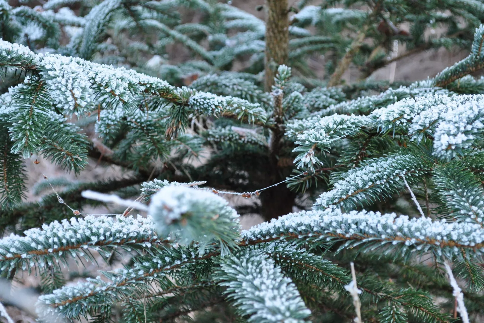 Loods 57B - Gebied winter 20km