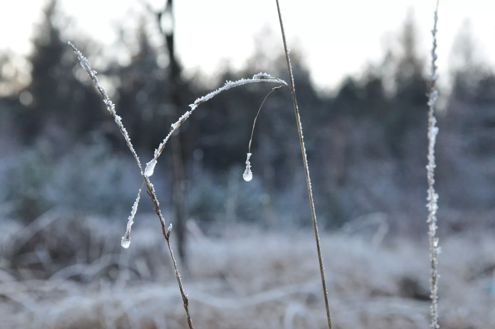 Loods 57B - Gebied winter 20km