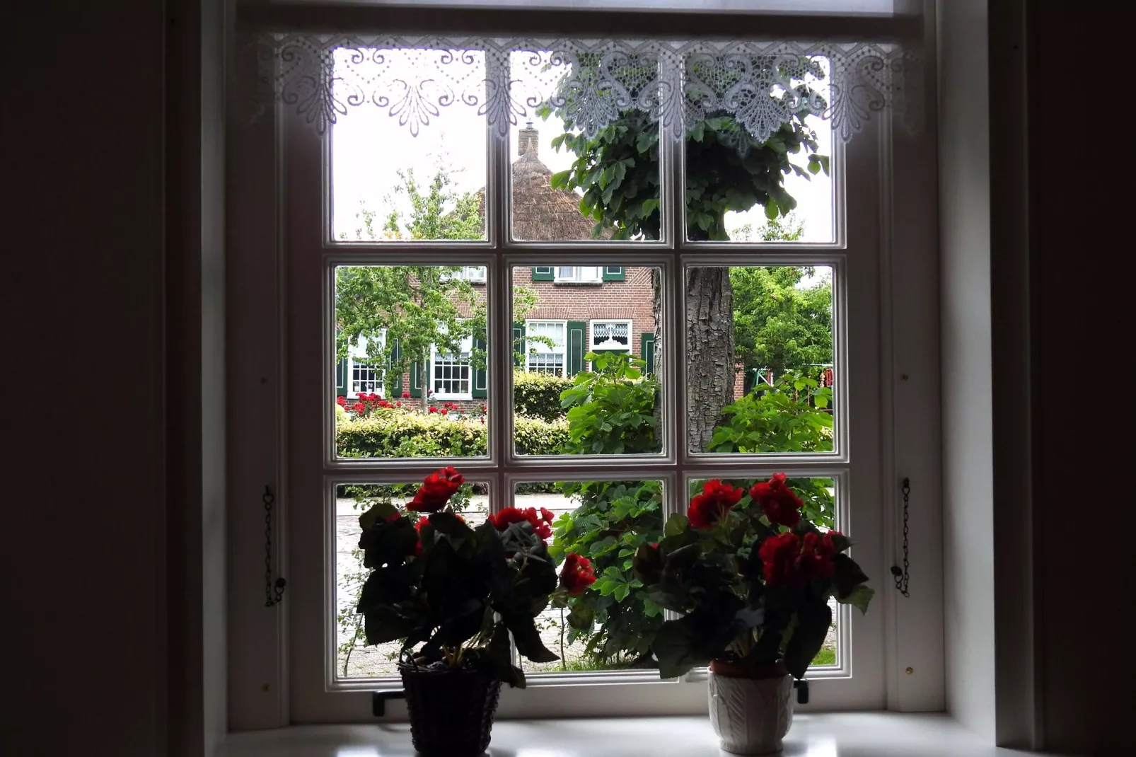 Woonboerderij in Staphorst voor 6 personen-Uitzicht zomer